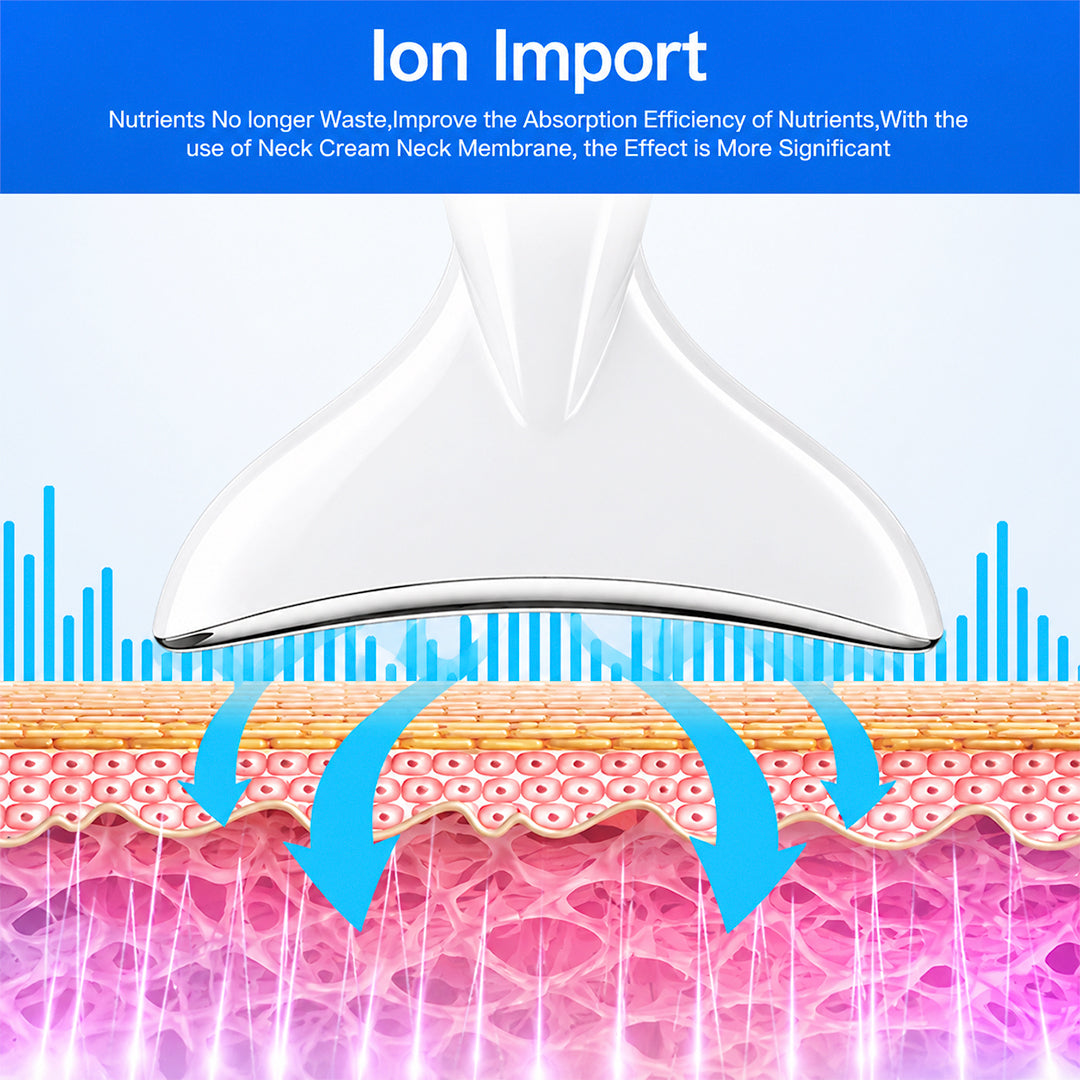 Anti-Wrinkle Beauty Apparatus